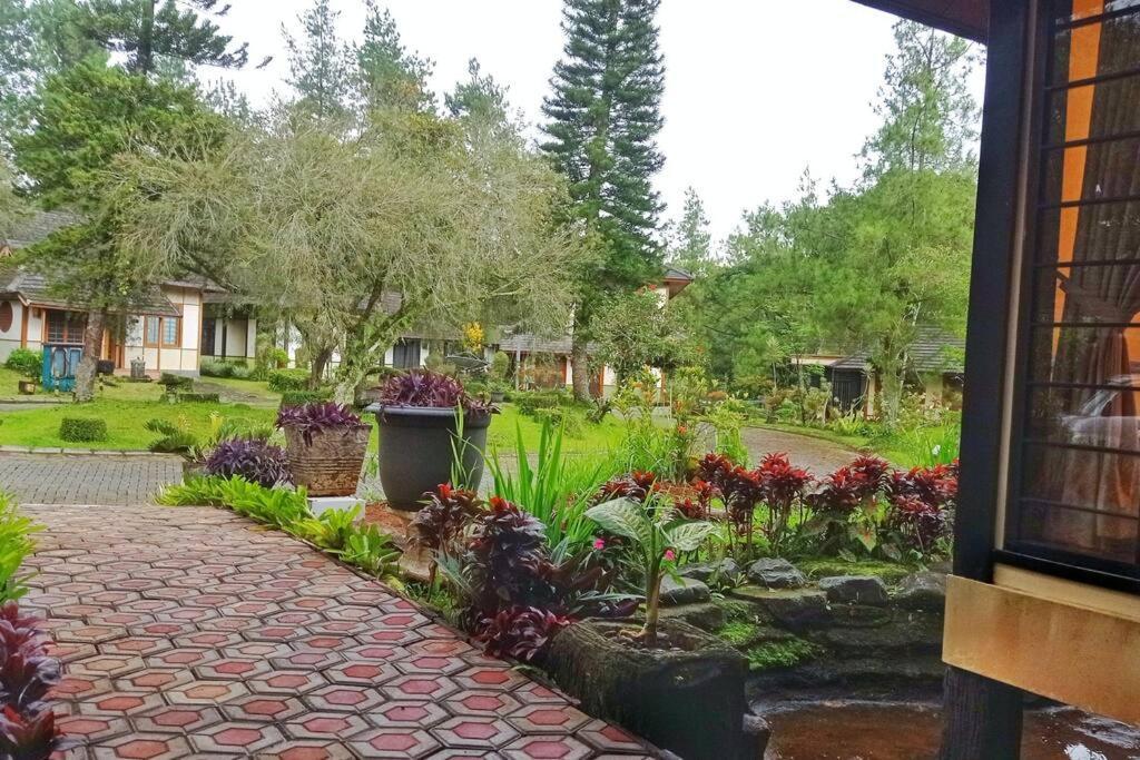 Designer Villa Tokyo سيانجور المظهر الخارجي الصورة