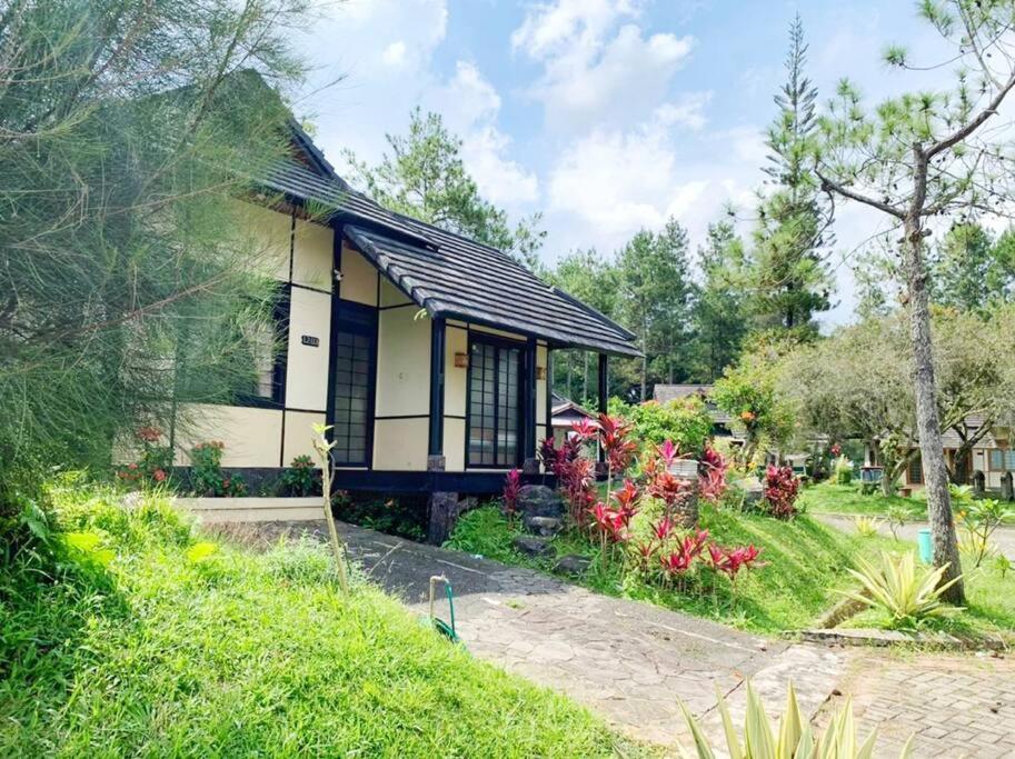 Designer Villa Tokyo سيانجور المظهر الخارجي الصورة