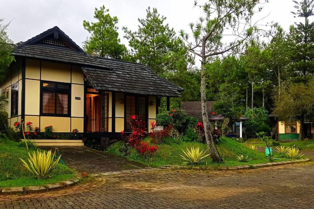 Designer Villa Tokyo سيانجور المظهر الخارجي الصورة